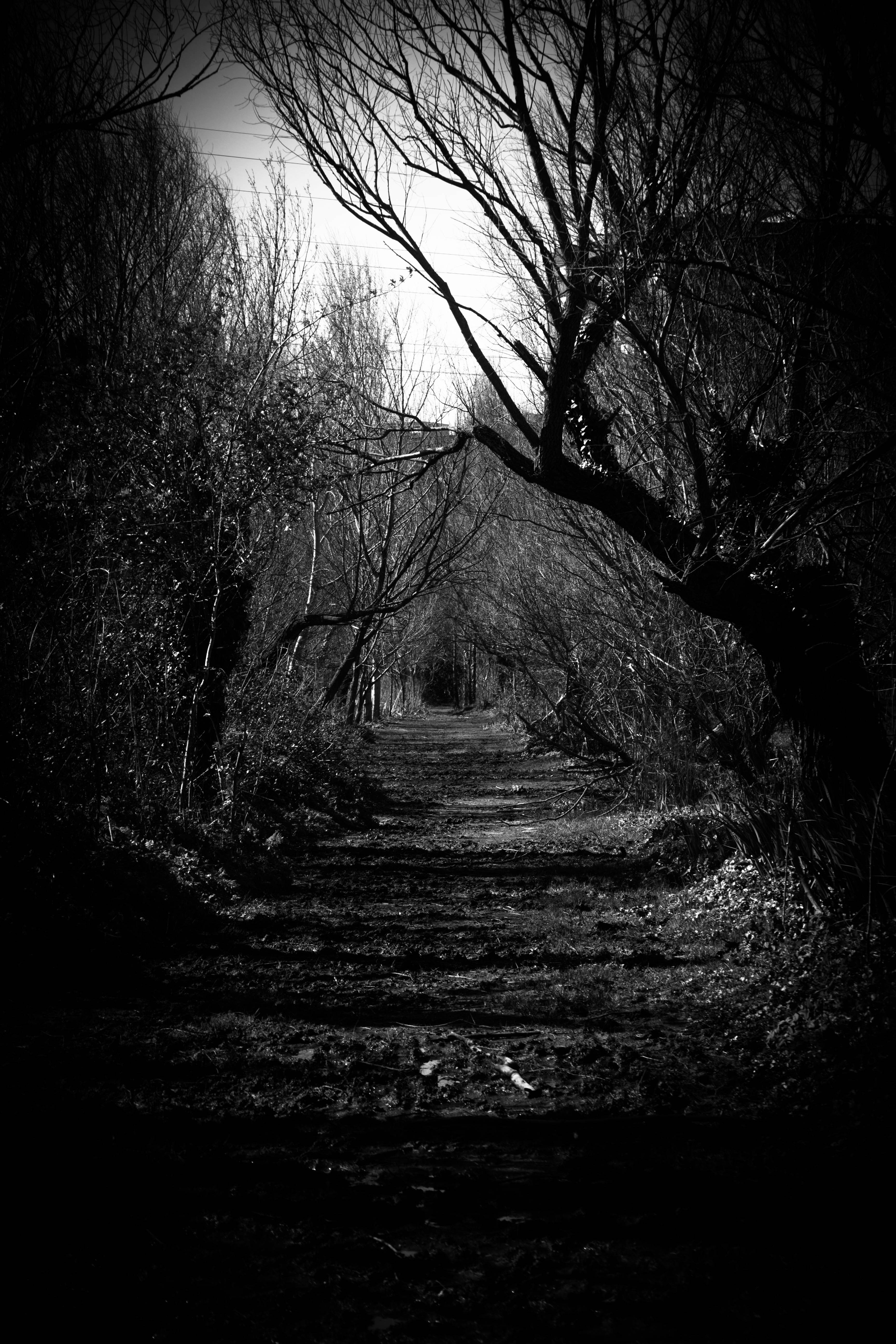 Copyright Rebecca Cataldo - All rights reserved