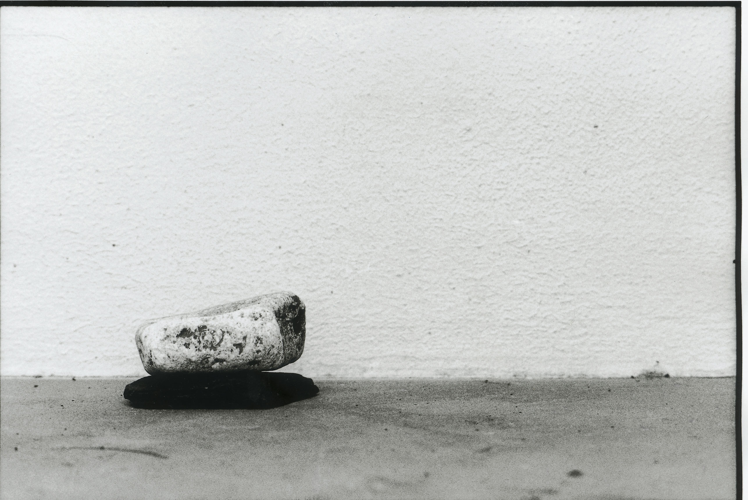 Copyright Claudia Chianese - All rights reserved