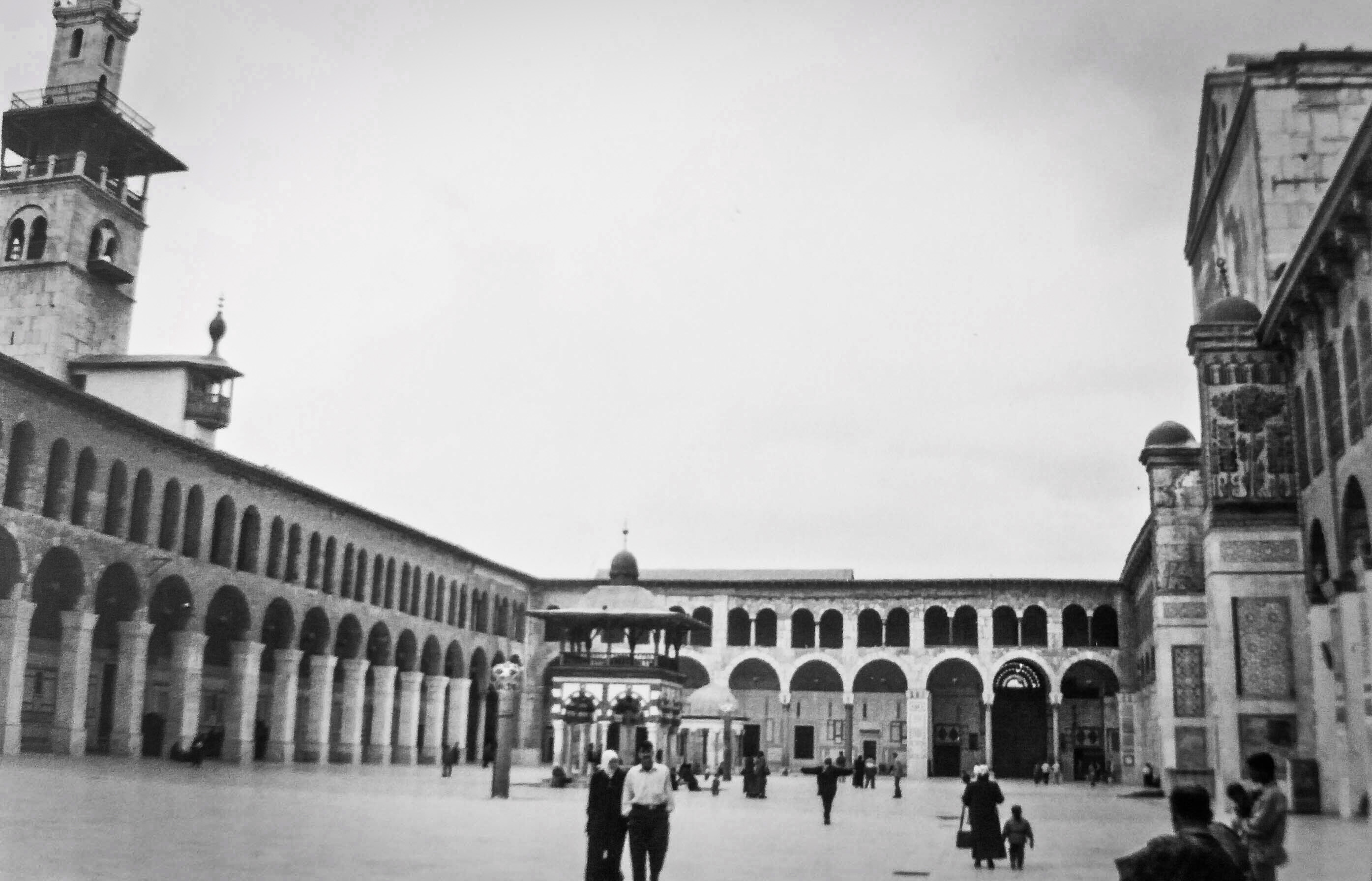 Francesca Petrangeli - All rights reserved