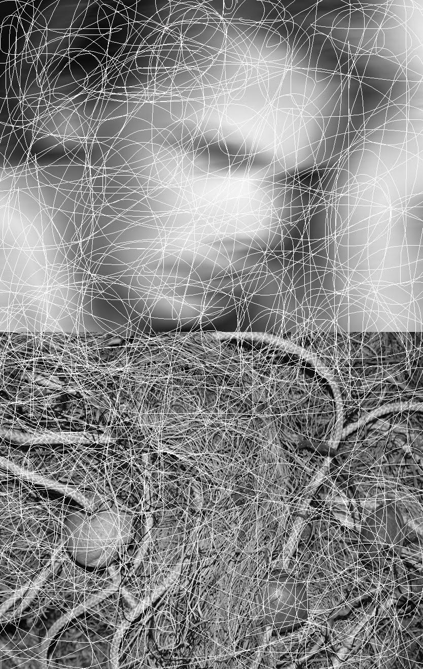 unnamed (20)