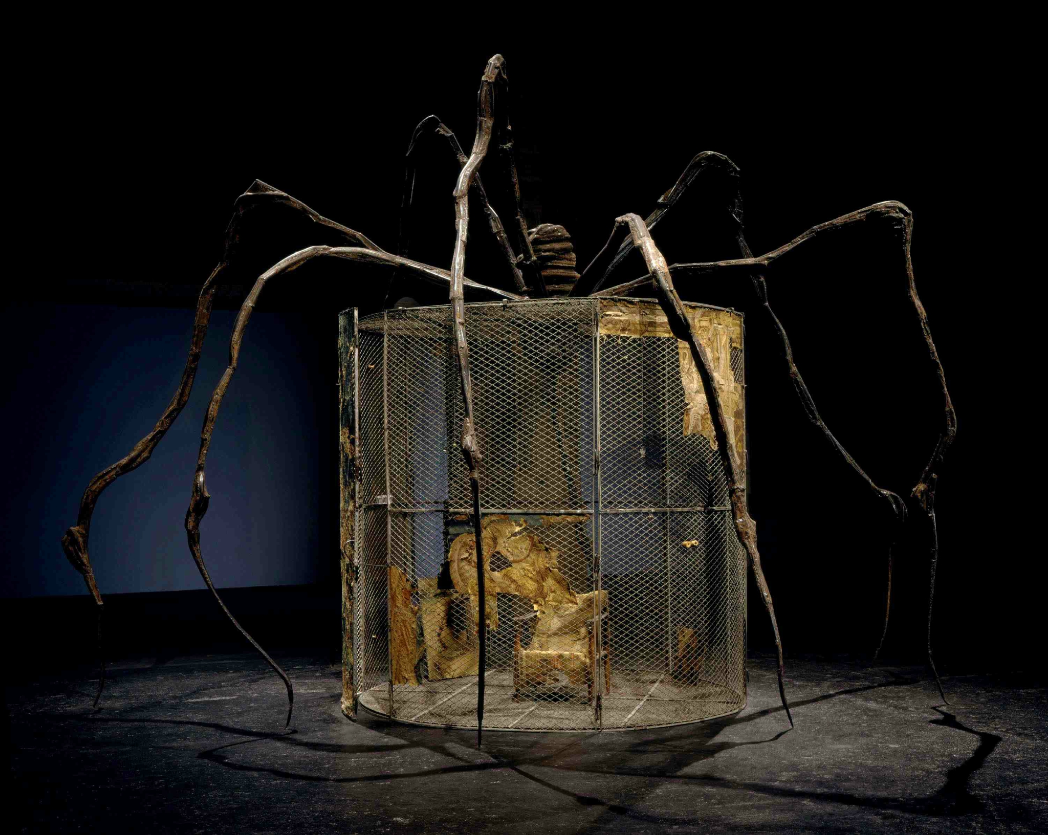 Spider Cell