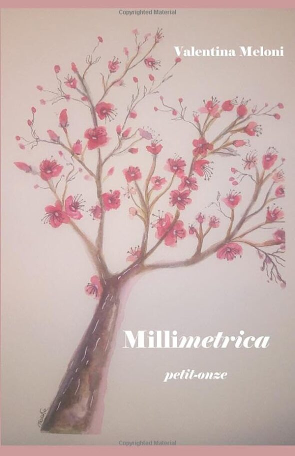 Millimetrica: Petits Onze