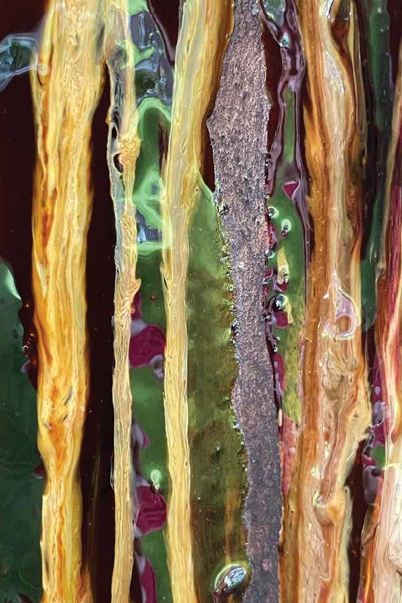 Primo piano artistico della corteccia testurizzata di un albero di eucalipto con sfumature di colore